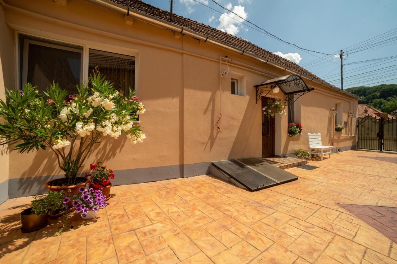 Nice&Cozy Apartament Сигишоара Екстериор снимка